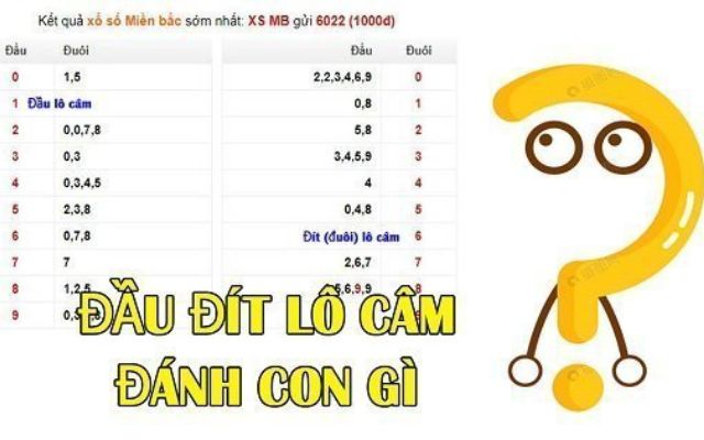 Đánh lô dàn theo đầu câm - đuôi câm hiệu quả